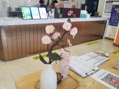 -CoCo都可(北京西站北广场店)