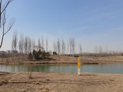 -东郊湿地公园