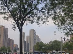 -木塔寺遗址生态公园