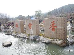 -香雪海