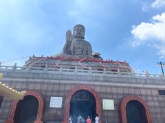 -龙口南山旅游景区