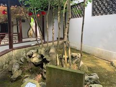 -上海醉白池公园