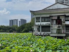 -荔湾湖公园