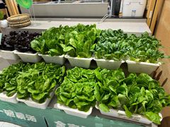 -九孔·筒骨莲藕汤锅(大明宫万达店)