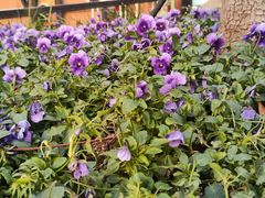 -西安电影制片厂