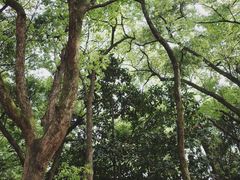 -杭州植物园