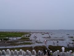 -南汇新城海滩