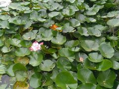 -镇江市南山风景名胜区竹林景区