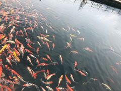 -庐山西海主景区