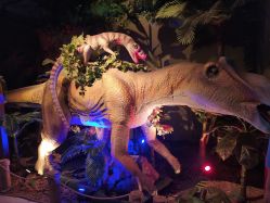 -恐龙探索乐园(磁器口店)