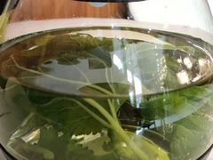 -龙凤瓦罐煨汤馆(清江东路店)