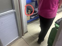 -枣呀呀仙枣糕(深圳前海壹方城店)