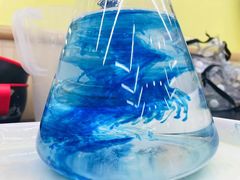 -神奇科学家STEAM科学实验科创赛事机器人编程逻辑思维MadScience(长宁来福士校区)
