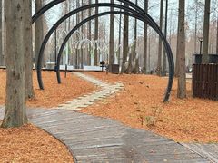 -黄海国家森林公园