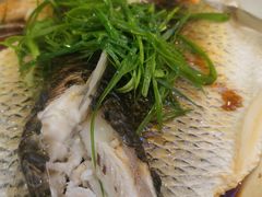 清蒸鲩鱼-潮喜竹溪荔湖酒家(荔枝湾店)