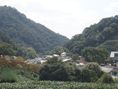 -龙井村