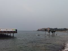 -北戴河碧螺塔海上酒吧公园
