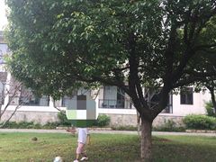 -苏州环秀晓筑养生度假村