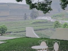 -龙坞茶村