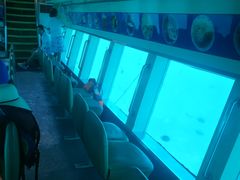 蜈支洲岛の半潜观光船-三亚蜈支洲岛旅游区