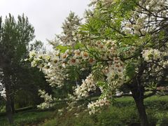 -长春公园(普阳街道)