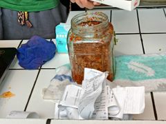 -董顺桃小粒臭豆腐(太平街一店)