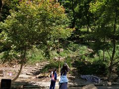 -广州市石门国家森林公园