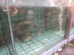 -天怡·鱼工厂(梅溪湖店)