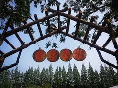 -前小桔亲子创意农场·草莓采摘·露营烧烤
