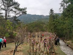 -牛鱼嘴原始生态风景区