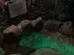 -御林汤泉