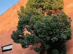 -中国美术学院象山校区-民艺博物馆