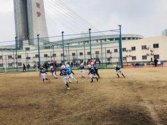-黄龙魔方运动培训·棒球·橄榄球