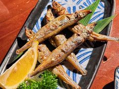 -鸟泉居酒屋·烧鸟·酒馆(百子湾店)