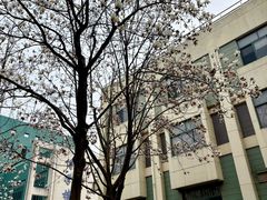 -南京医科大学(江宁校区)