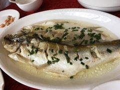 -石家饭店中市店