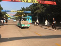 -南戴河国际娱乐中心