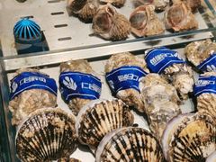 -百富源·海鲜辽菜(和平北大街店)