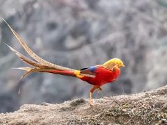 -沕沕水生态风景区