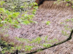 -中国茶叶博物馆(双峰馆区)