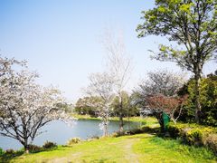 -澹台湖公园