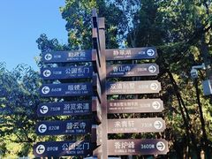 -香山公园