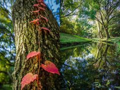 -上海共青森林公园