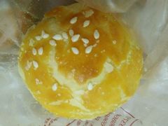 -闻酥园(青羊区人民中路店)