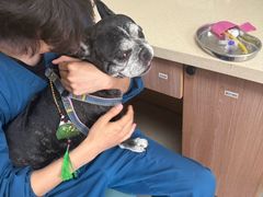 -爱派特动物医院·全科诊疗中心