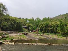 -川西竹海景区