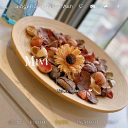 -MIVI野生眉纹绣纹眉