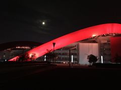 -南京奥林匹克体育中心-体育馆