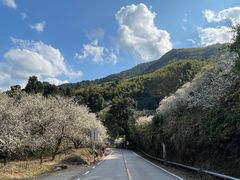 -广州市流溪河国家森林公园