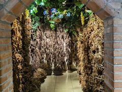 -新疆国际大巴扎